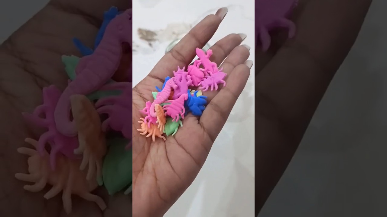 Cute or Disgusting?😉 