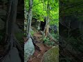 The Appalachian Trail in Maine Just Broke Me #hiking #challenge #outdoors