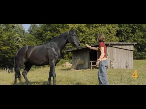 OSTWIND 4 trailer აღმოსავლეთის ქარი 4 თრეილერი