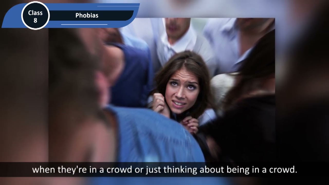 Mind Fest Class 8 Chapter 19 Phobias