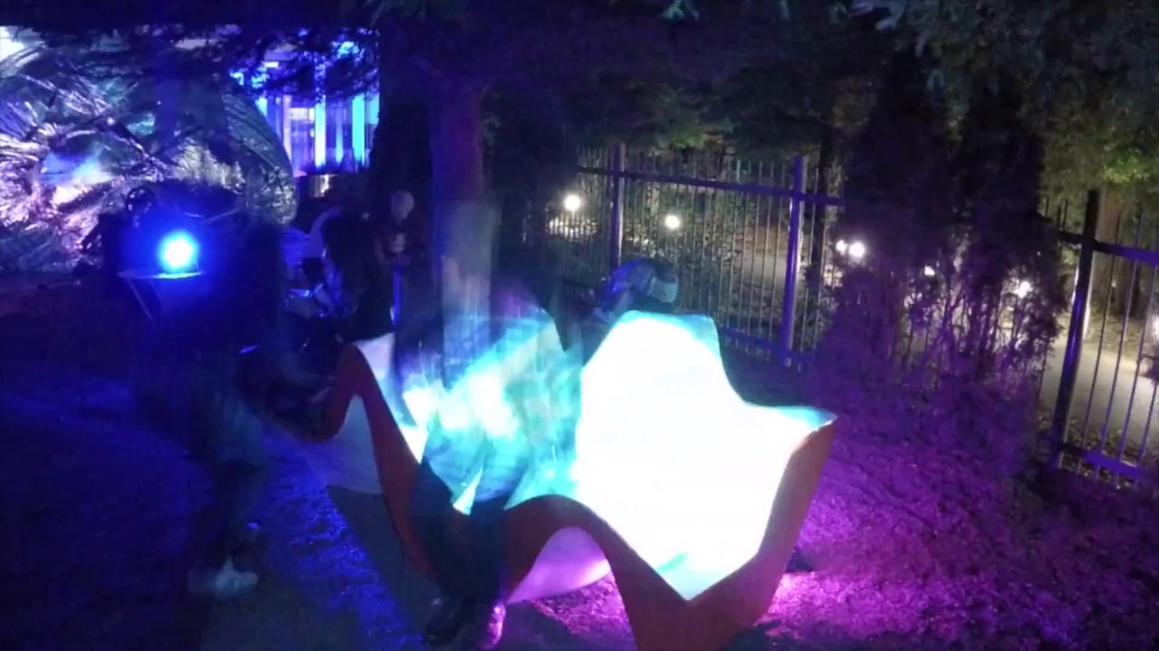 PULSE - By Danielle Aspitz