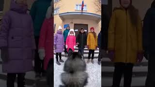 Умный хаски из Москвы: добрый поступок за 8 секунд