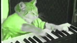 Keyboard Cat (Revenge Remix)