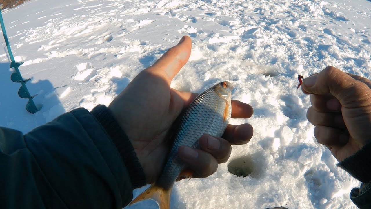 Как я закрыл сезон зимней рыбалки 2018