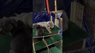 She Made It Up The Hard Part