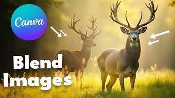 How to Easily Blend Photos in Canva | Quick & Easy Tutorial