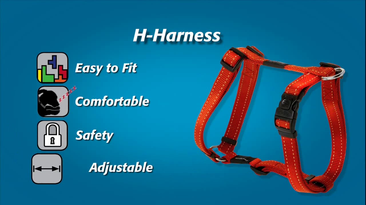How to Fit a Rogz Harness YouTube