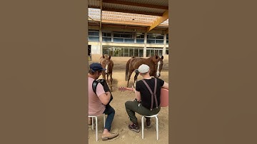 They were so intrigued by the accordion 😭❤️‍🩹