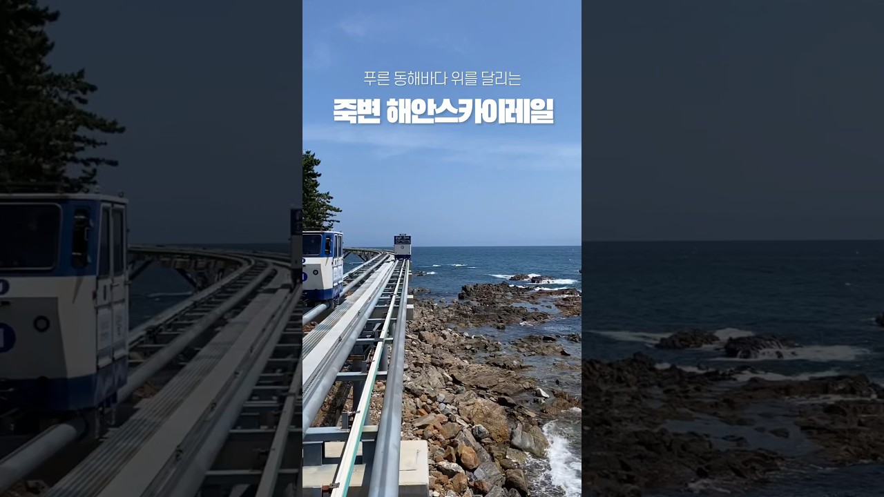 동해 바다를 가장 가까이에서 보는 방법 #shorts