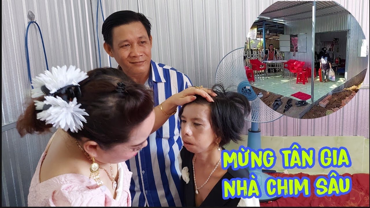 Tân Gia nhà Chim Sâu