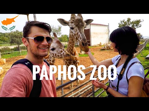 Видео: Paphos Bird & Animal Park -ийн тодорхойлолт ба гэрэл зураг - Кипр: Пейиа