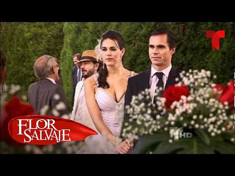 Flor Salvaje | Capítulo 149 | Telemundo