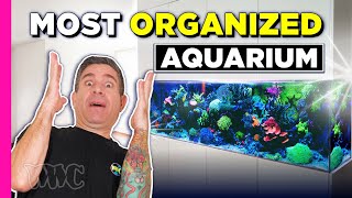 Secrets to a Pristine Aquarium!!