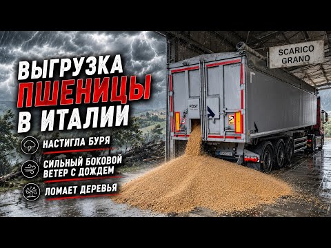 "ПРОБКИ" МЕНЯ ПРЕСЛЕДУЮТ, "БОМБИЧЕСКИЕ" ВИДЫ, ВНИЗ СМОТРЕТЬ желания НЕТ, не видно дорогу- ливень..
