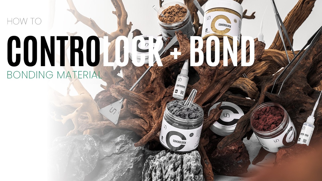 In this video, we walk through how to use UNS Controlock + Bond to secure your aquarium hardscape with confidence. From choosing the right color to match your planted tank layout to proper application techniques that keep everything exactly where you want it, we cover it all while keeping the safety of your fish tank in mind.Whether you’re working with stone, wood, or a mix of both, this aquarium-safe bonding material and glue make it easier to create stable, long-lasting structures without compromising the look of your aquascape.You’ll learn how to use UNS Controlock + Bond for fast, clean adhesion, how to glue aquarium hardscape for added strength, & a breakdown of available colors and how to choose the right one.Click here to learn more: https://ultumnaturesystems.com/controlock-controbond/
Become an Ultum Nature Systems retailer: https://ultumnaturesystems.com/wholesale-inquiries/Follow us on social:
Instagram: https://www.instagram.com/ultumnaturesystems/
Facebook: https://www.facebook.com/ultumnaturesystems/