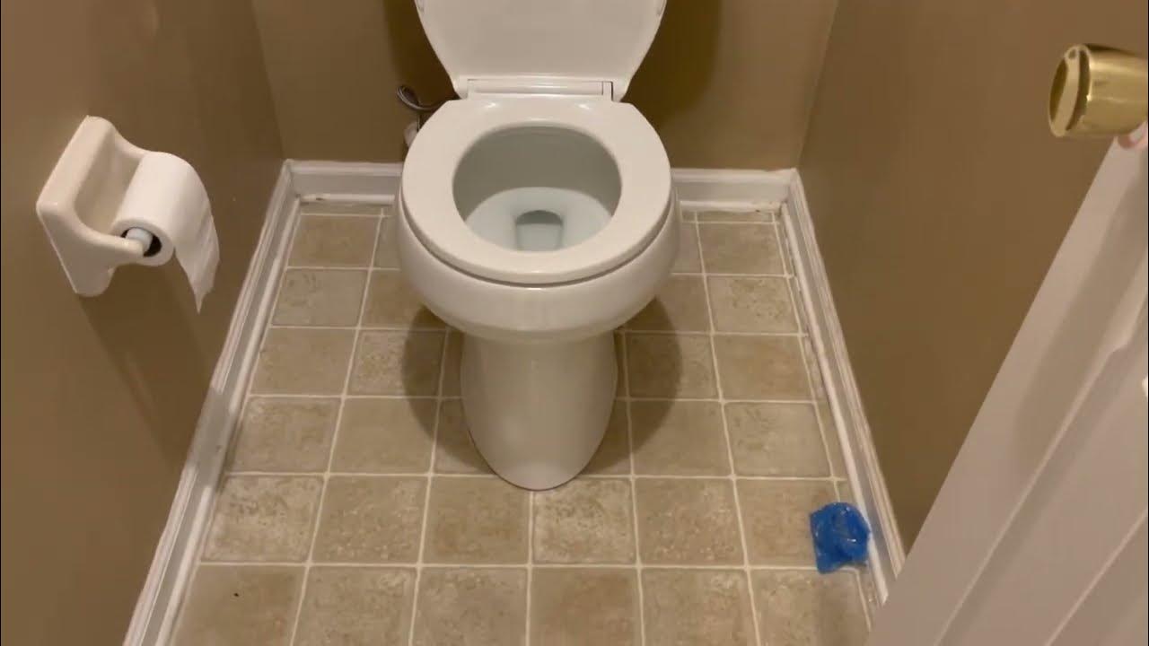 New Kohler toilet install DIY remove the old one. Wife does the work