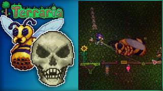 Use your tools! | Terraria | Dungeon Seed