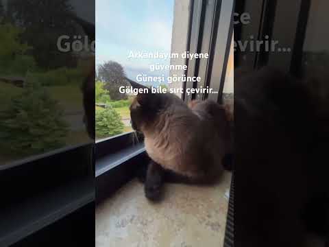 14:30 gördüğün 🕰️ ✍️ Almanya 🇩🇪 #instagram #love #tiktok #keşfet #schorts #facebook