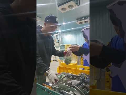 바쁘다보니 몸이빨라지는 신반장.