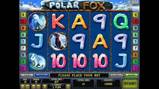Polar Fox. More High Limit Slots. 45 bonus games. ✍️🤩 🥳💣💣 💣👍🔔#1 screenshot 2