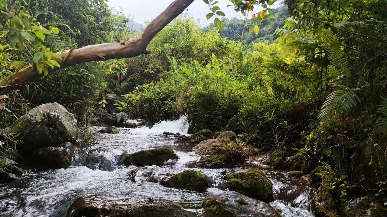 Watch Calm River Sounds for Deep Sleep & Stress Relief | Crystal Clear Water Nature White Noise on YouTube Watch Calm River Sounds for Deep Sleep & Stress Relief | Crystal Clear Water Nature White Noise on YouTube