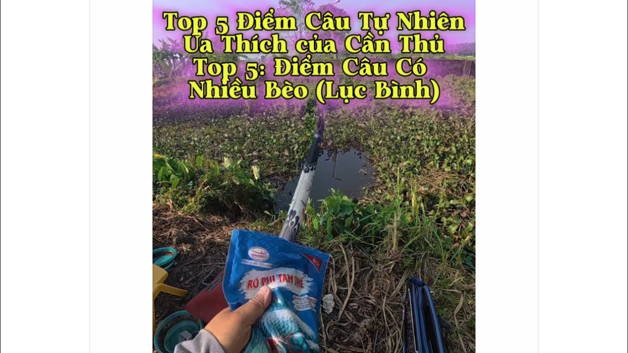 Câu được đàn cá đen xì xì