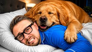 Why does your dog sleep in bed with YOU? (It's not about warmth)