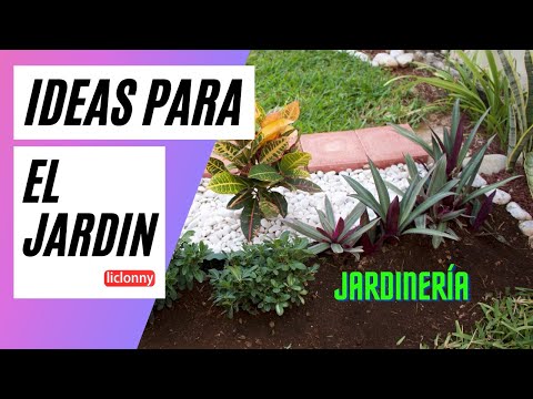 Video: Elección de plantas de jardín coloridas - Consejos para añadir color al jardín