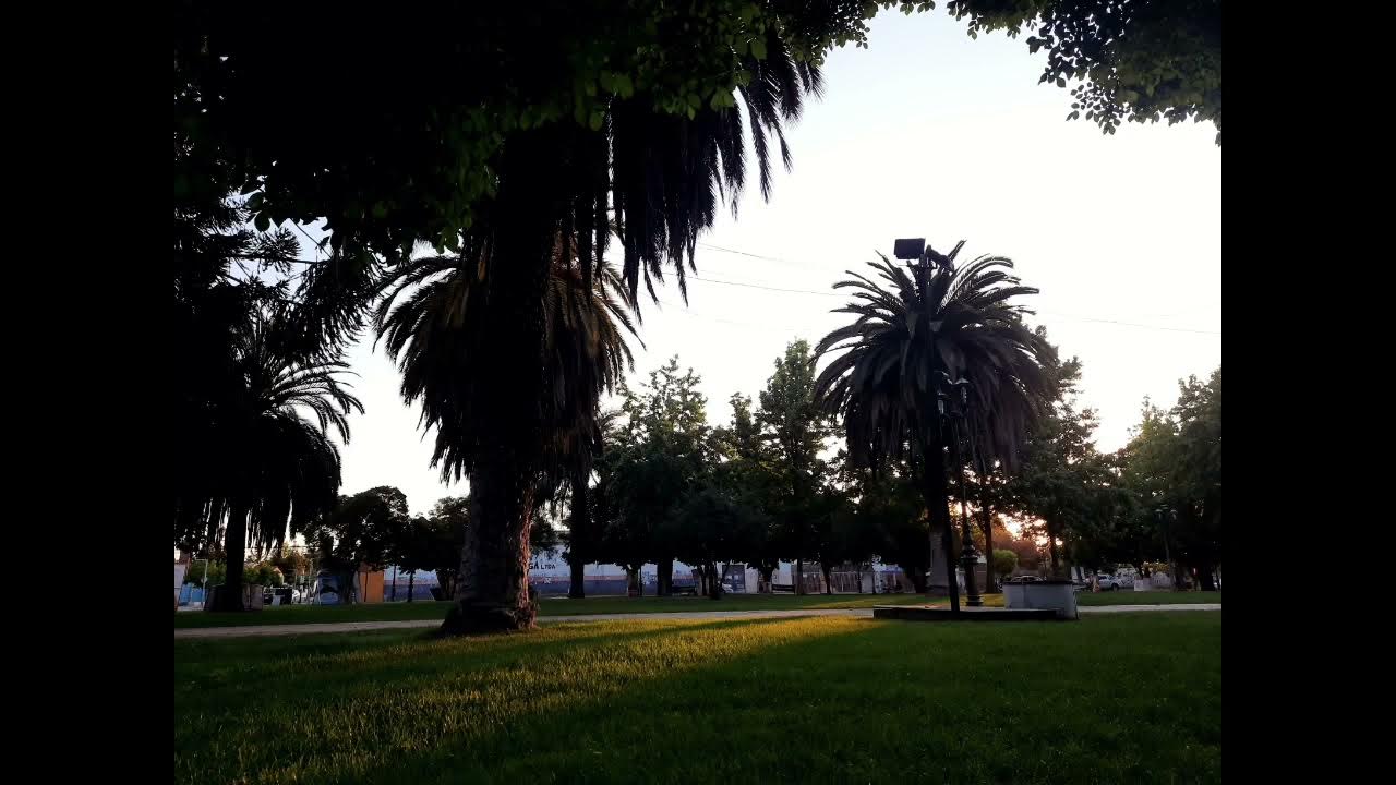 Title Fight Dust Collector(Slowed) YouTube