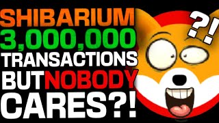 SHIBARIUM REACHES 3,000,000 TRANSACTIONS BUT NO ONE CARES???
