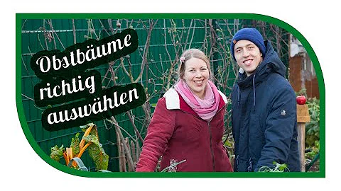 Welche Pflanzen passen zu Obstbäumen?