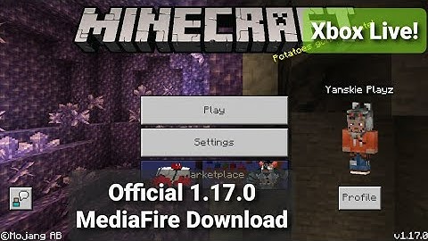 How to download Official Minecraft 1.17.0