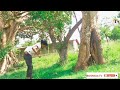 Bonsa Ibro Actor Action Video 2022 Bonsa Ibro Actor Action Video 2022