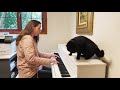 Amber Muller - Birdsong | Original Piano Solo