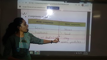 Class 5 | EVS | Ch 9: Land | part3 | gcert