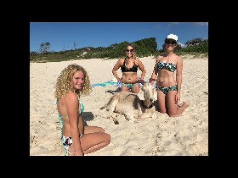 If BAYWATCH was filmed in AUSTRALIA