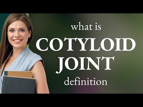 فيديو: أين هو مفصل cotyloid؟