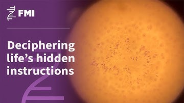 Deciphering life’s hidden instructions