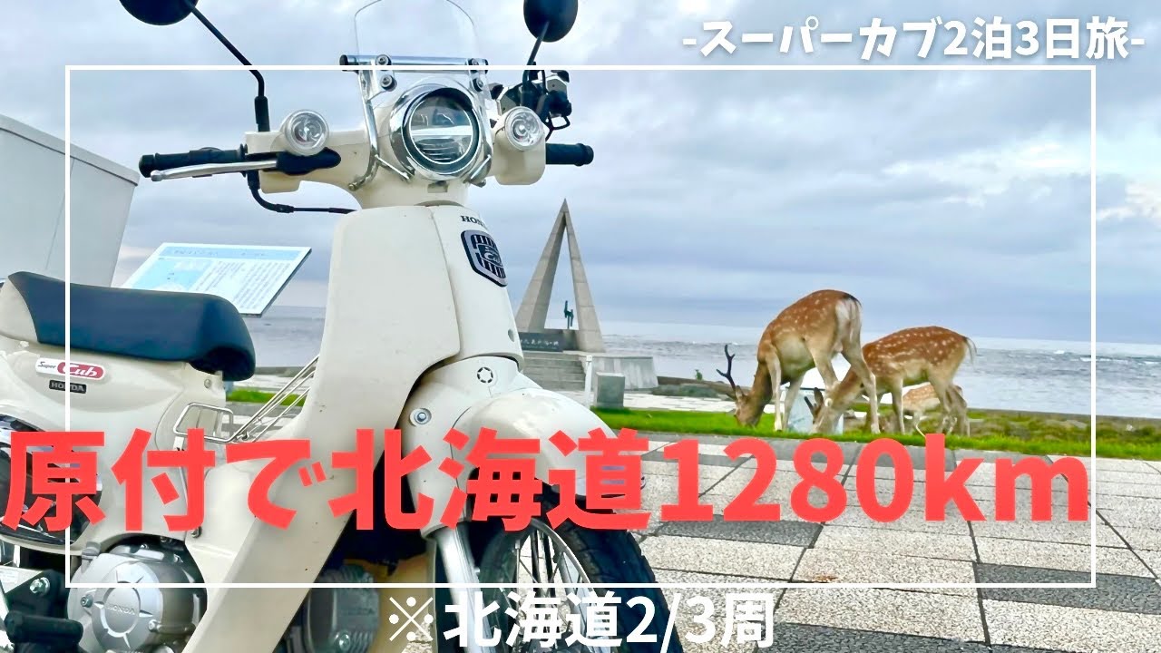【カブvs鹿】スーパーカブで北海道突撃！【カブ110】