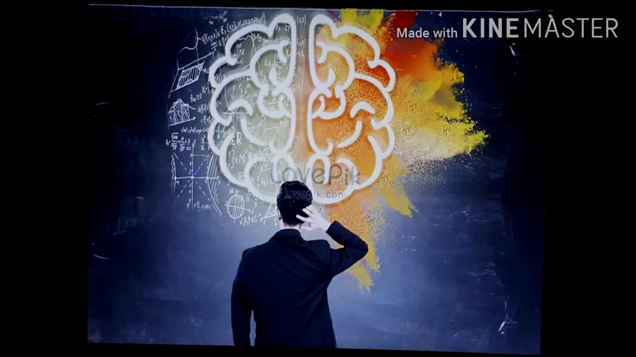 التغذية الراجعة feedback  ا.د.سعيد غني نوري