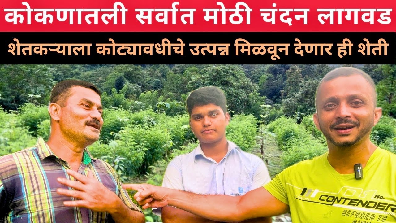 कोकणा मधील चंदन आणि मोहगणीची लागवड