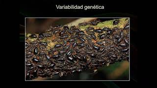 Teorico Agroecologia ecologia de poblaciones y evolución