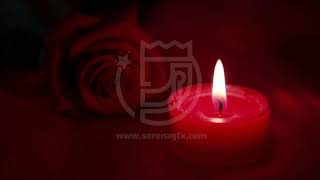 #فوتیج دانلود فوتیج رومانتیک سوختن شمع و گل رز screenshot 5