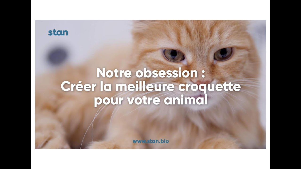 Notre Obsession Creer La Meilleure Croquette Bio Pour Votre Animal Youtube Notre Obsession Creer La Meilleure Croquette Bio Pour Votre Animal Youtube