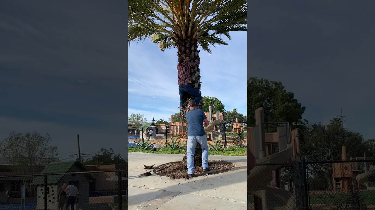 woody to the rescue