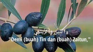 MUZAMMIL HASBALLAH - SURAT AT TIN