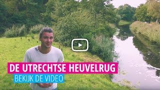 Dagje Utrechtse Heuvelrug Wat Is Er Te Doen? Op Pad Met Voordeeluitjes.nl