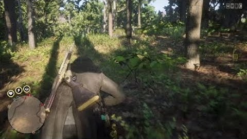 Dog Sh** Booter Reads IPs After Getting Killed