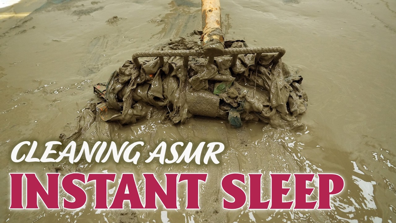 Deep Sleep ASMR Carpet Cleaning – Gentle Scraping Sounds, Anxiety Relief, Stress Relief