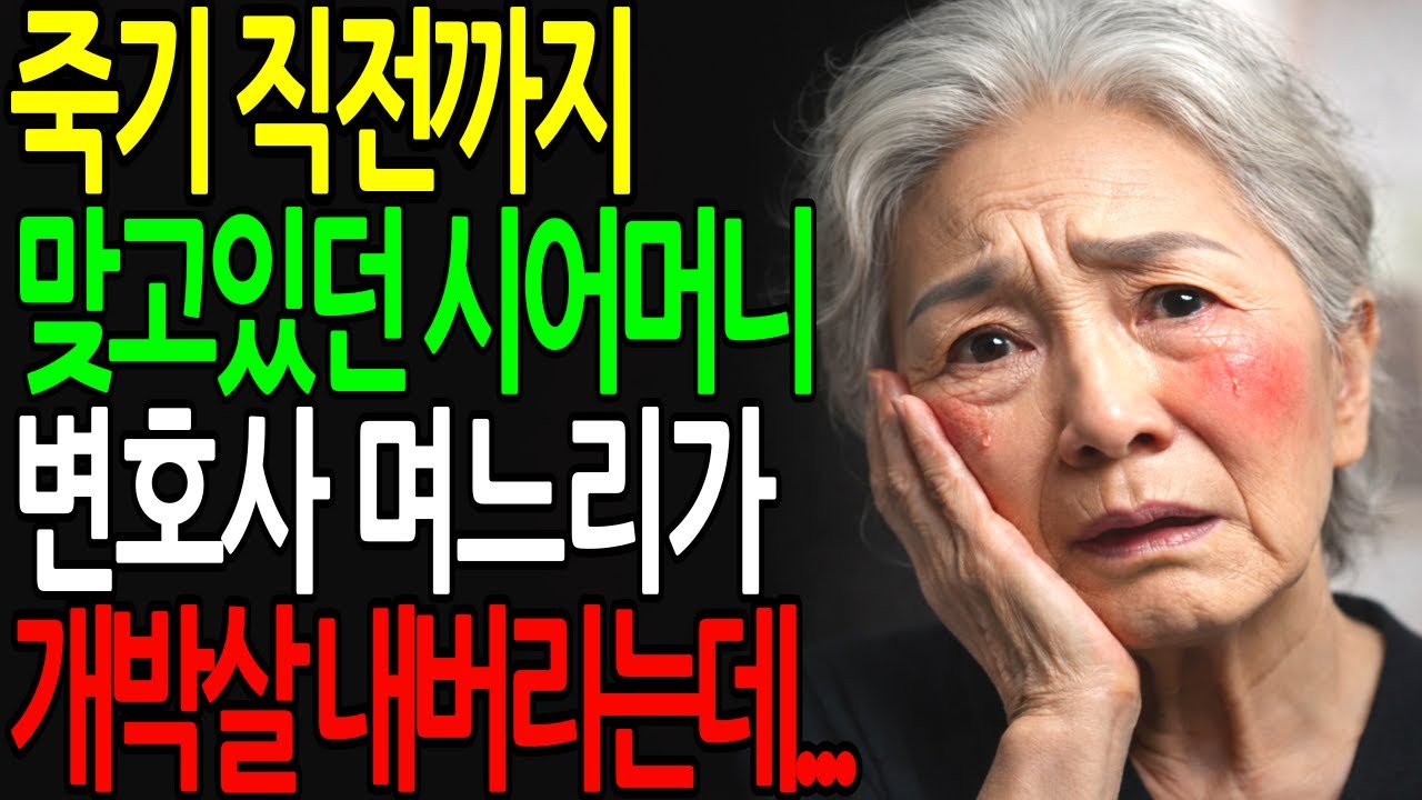 죽기 직전까지 맞고 있던 시어머니를 본 변호사 며느리가 한마디 하자 분위기가 역전되는데…ㅣ노후사연ㅣ창작이야기ㅣ사연라디오ㅣ오디오북